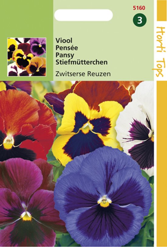 Violet, Pansy Swiss Giants (Viola wittrockiana) 320 seeds HT